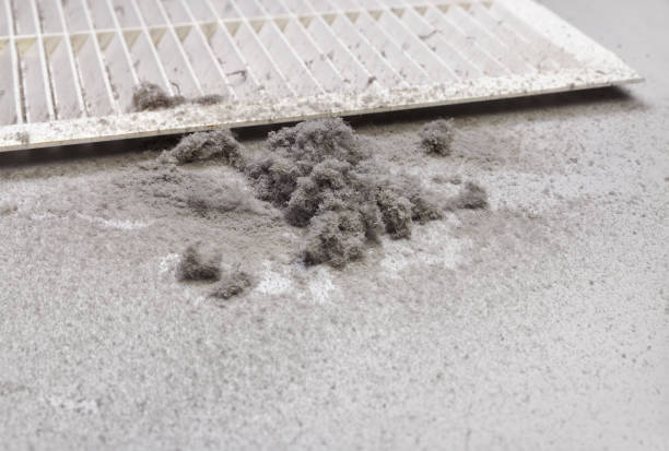 Best Dryer Vent Cleaning Services  in Pompano Beach, FL